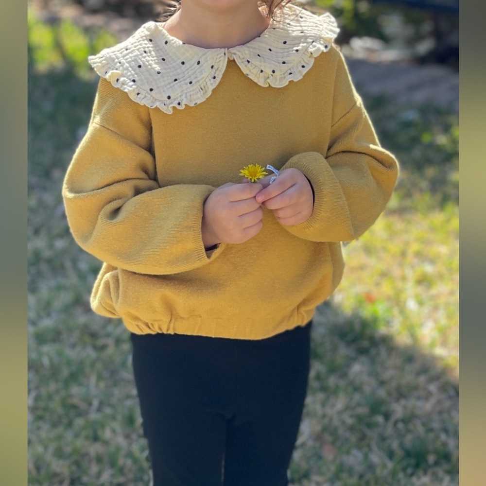 Zara preppy Peter pan sweater size 3-4